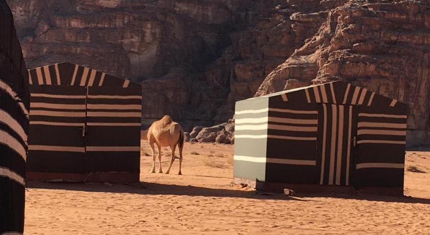 Wadi Rum Desert Heart Camp Ngoại thất bức ảnh